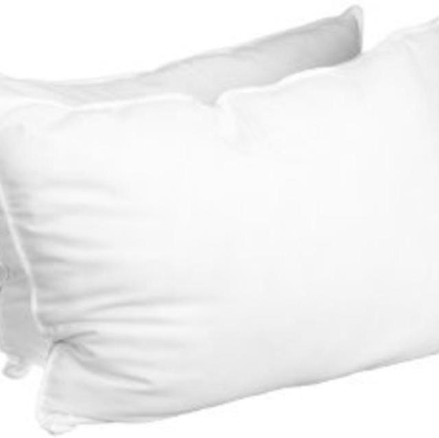 Set of 2 Down Pillows