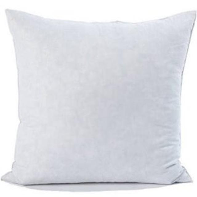 Set of 2 Euro Sized Down Pillows