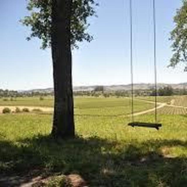 Scribe Winery Membership