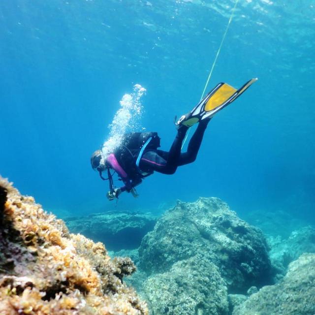 Scuba Diving in Greece