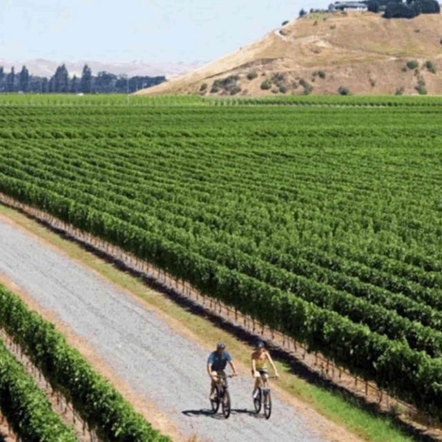Honeymoon Bike and Wine Tour