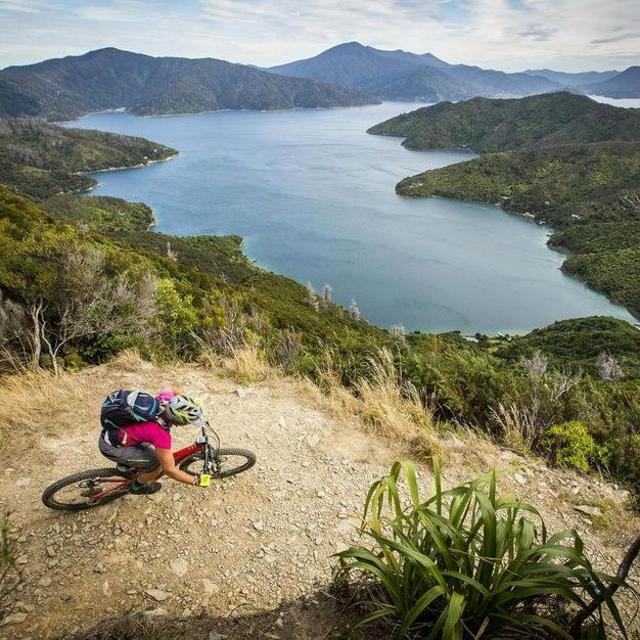 Honeymoon Mountain Bike Rental
