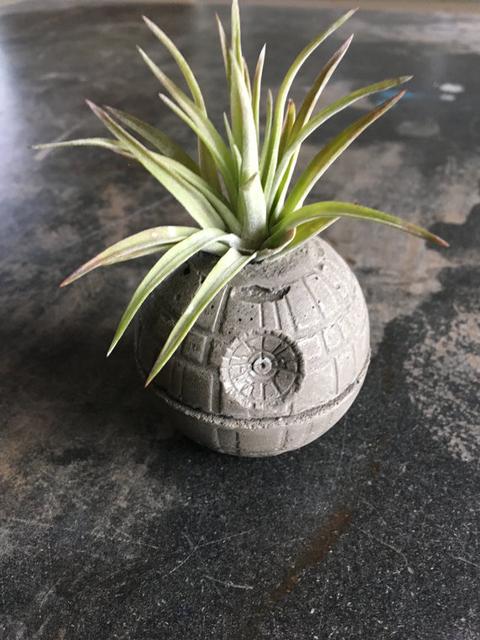 Small Death Star Concrete Planter - Single Planter - Includes Air PLant - Star Wars - Office Decor