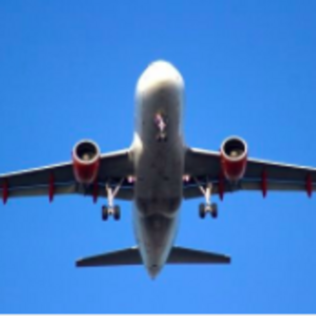 Contribute to honeymoon flights