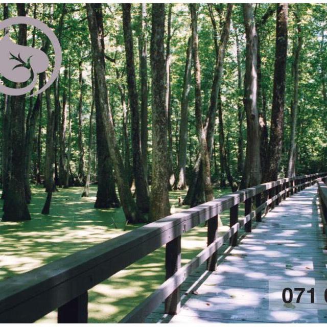 National Parks Annual Pass
