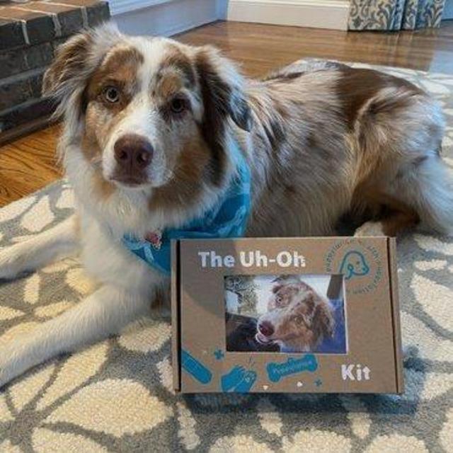 Puppy Uh-Oh Kit