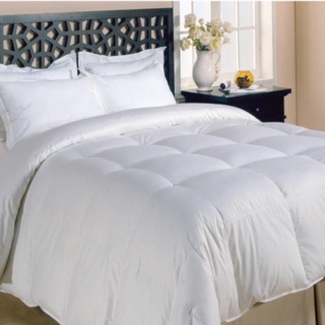 Solid Color Microfiber Down Alternative Comforter