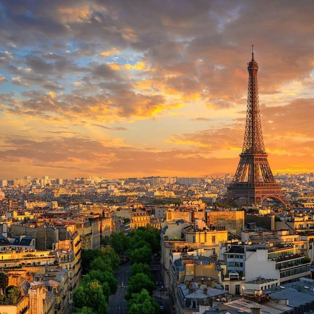 Paris Honeymoon Fund!