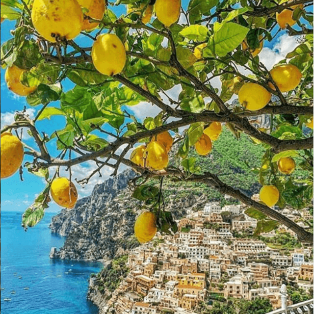 Lemon tour in the Amalfi Coast
