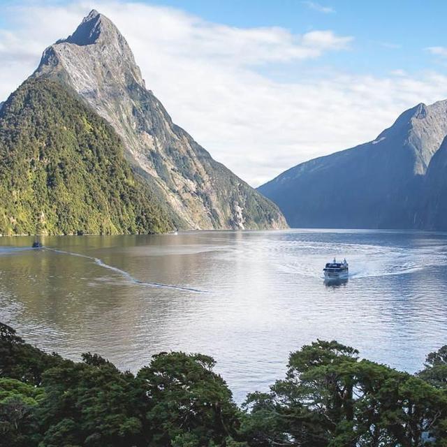 Cruise Through Milford Sound