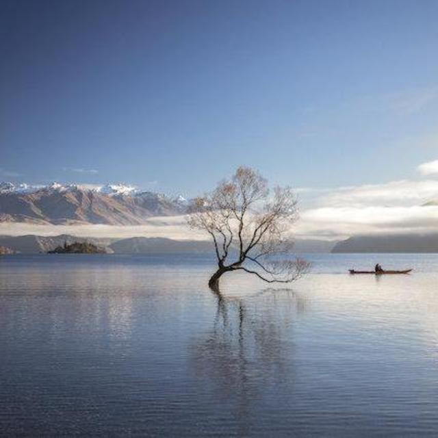 Dinner at Lake Wanaka