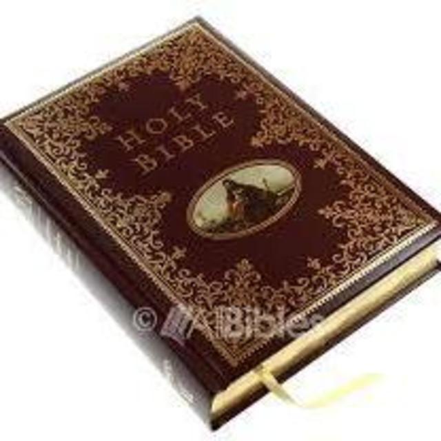 King James Version Illustrated Edition Family Bible: Faux Leather Bound (King James Bible)                    Imitation Leather                                                                                                                                                        – December 1, 2016