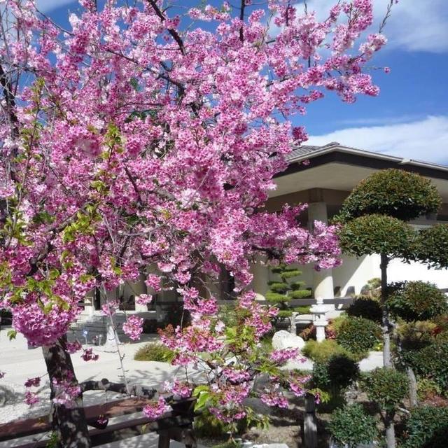 San Fernando Valley Hongwanji Buddhist Temple