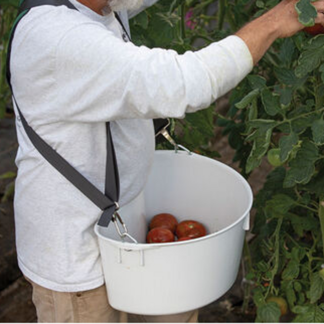 Harvest Bucket