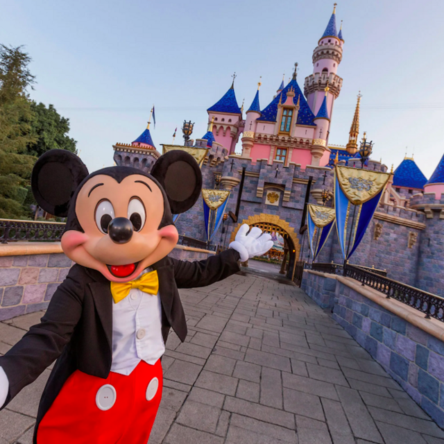 Disneyland Honeymoon Fund