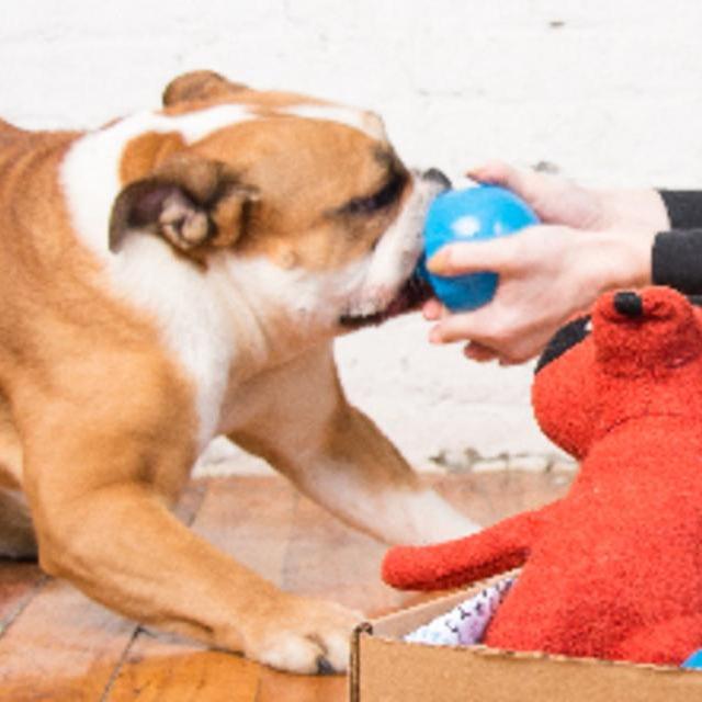 BarkBox