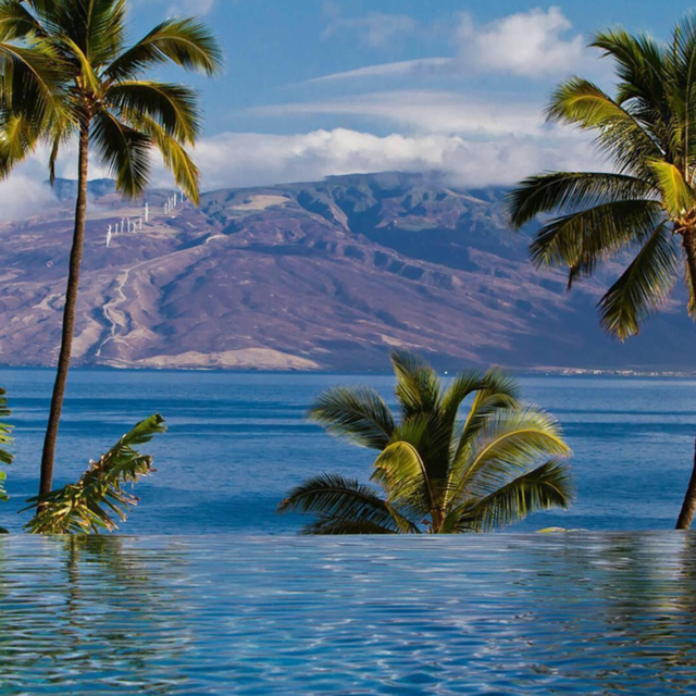 We're Going to Hawaii!!!