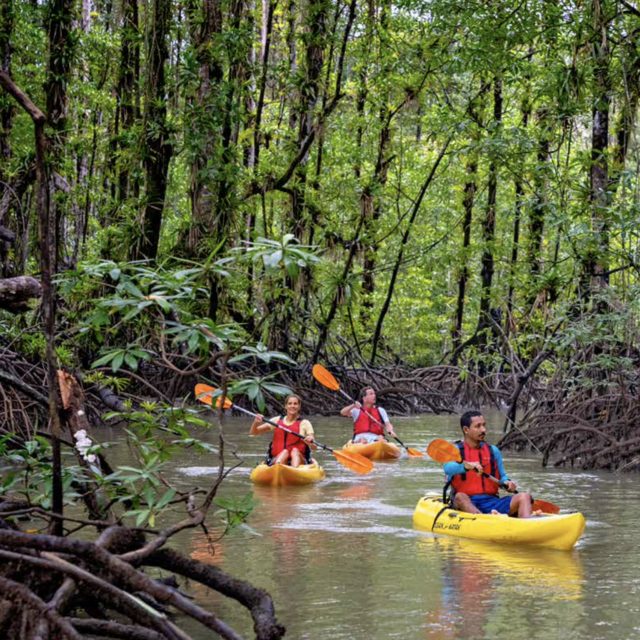 Rio Esquinas mangrove kayaking expedition