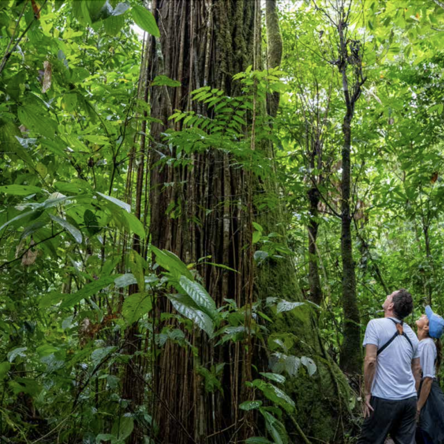 Piedras Blancas National Park hike (San Josecito trail)