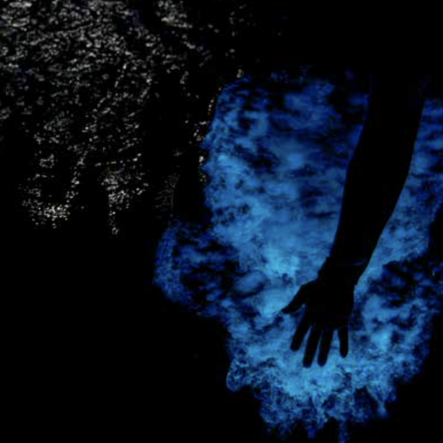 Bioluminescence expedition