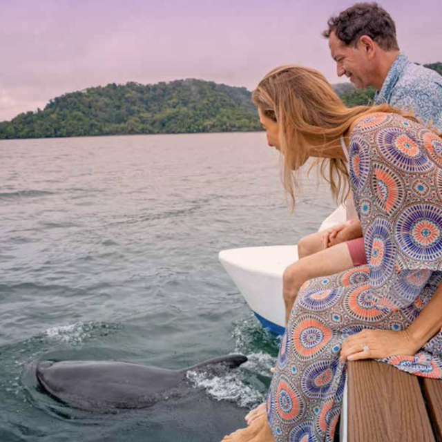 Dolphin & whale watching quest in Golfo Dulce