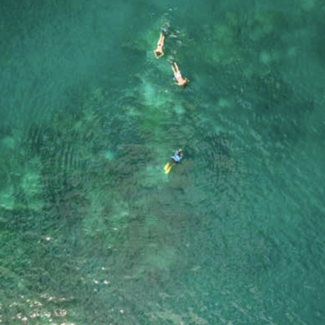 Golfo dulce snorkeling excursion