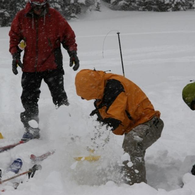 Avalanche Level 1 Course (with 2 day field course)