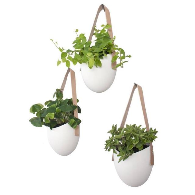 Set Of 3 Leather Spora