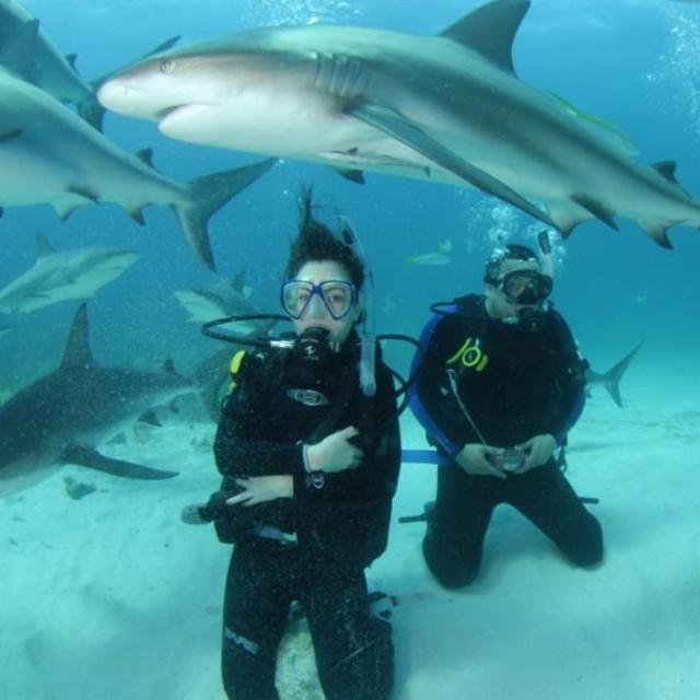 Fiji: Dive Excursion