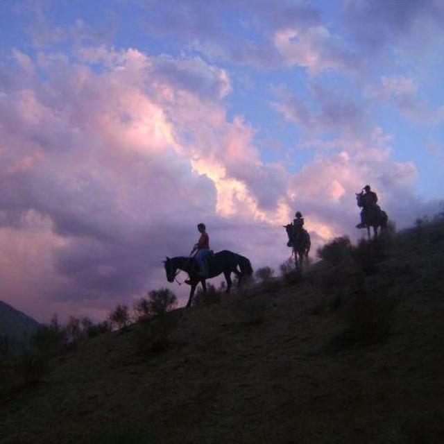 Nighttime Horseback Riding Tour for 2