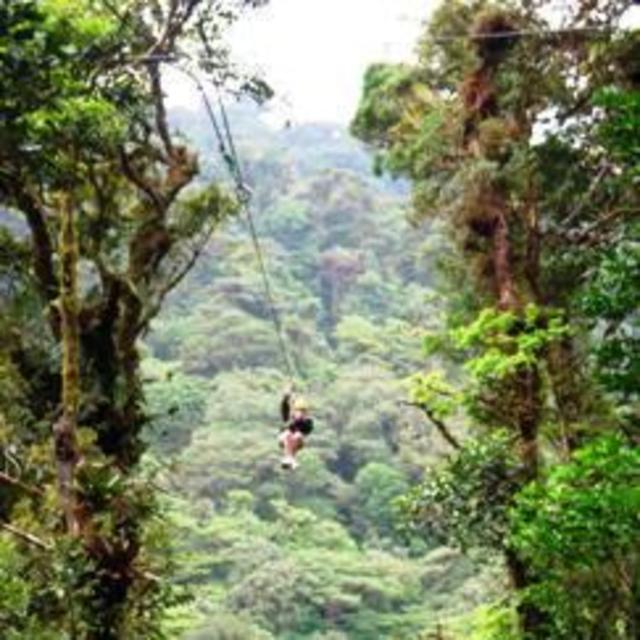 Selvatura Canopy Ziplining Tour