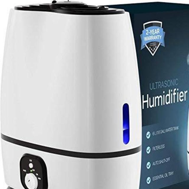 Everlasting Comfort Humidifier for Bedroom