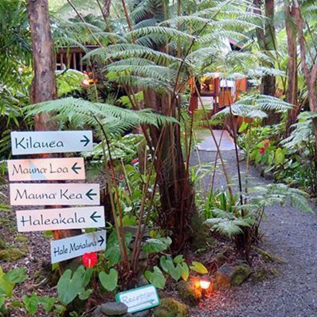 1 night in a jungle lodge