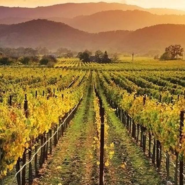 Napa Valley Wine Tour