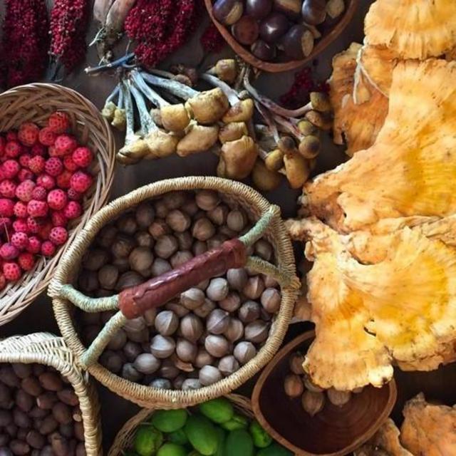 Foraging Tour