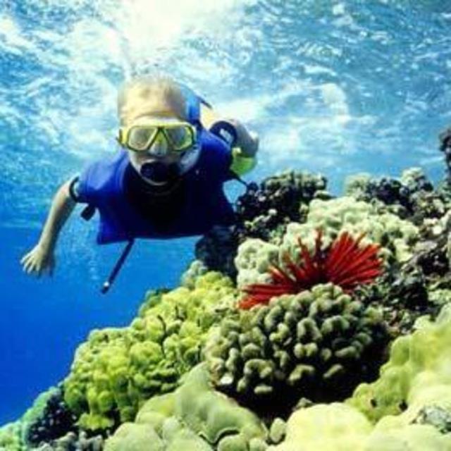 Snorkeling
