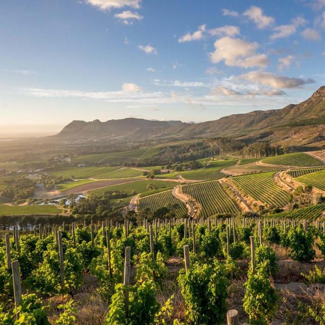 Wine Tasting For Two