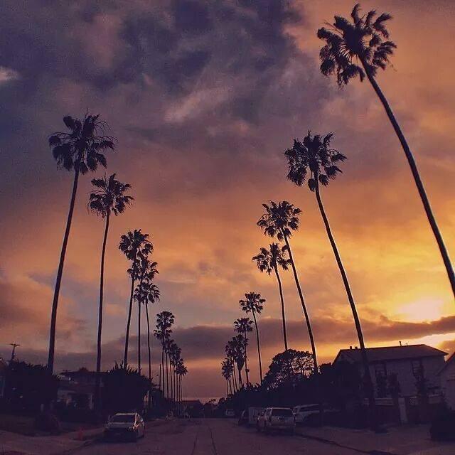Romantic Dinner in San Diego