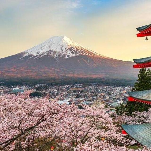 Day Trip to Mount Fuji