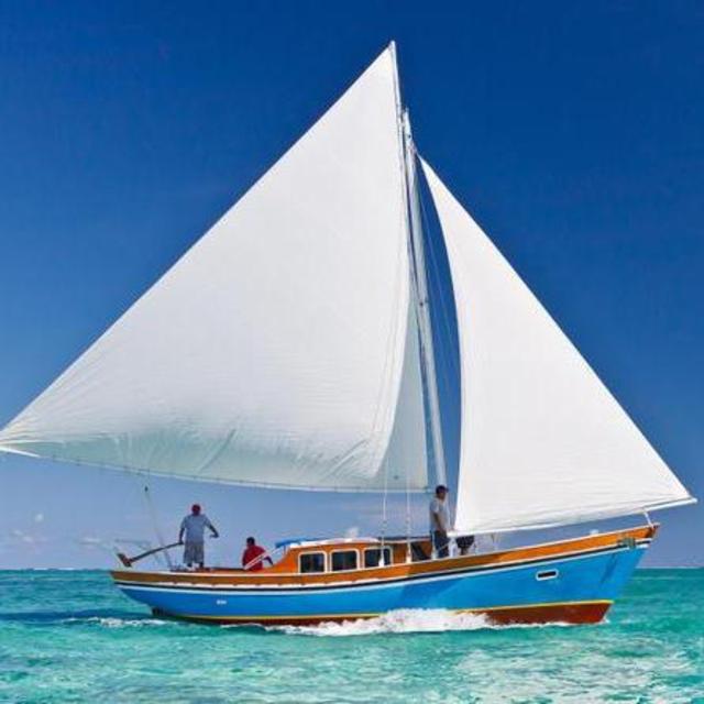 Hol Chan Marine Reserve + Shark Ray Alley Sailing and Snorkeling Tour