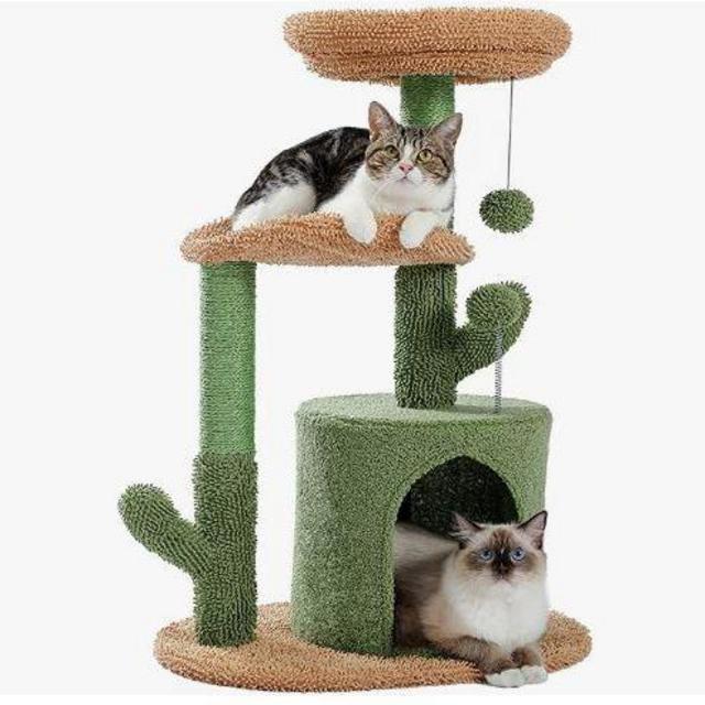Cactus Cat Tower