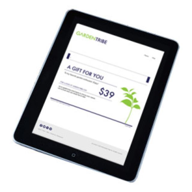 Online Class - Succulent Gardening