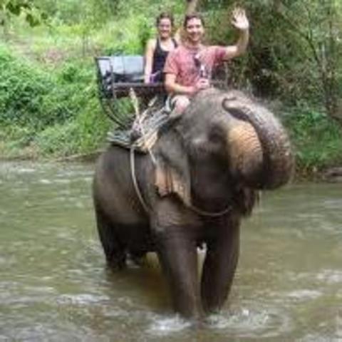 Elephant Ride
