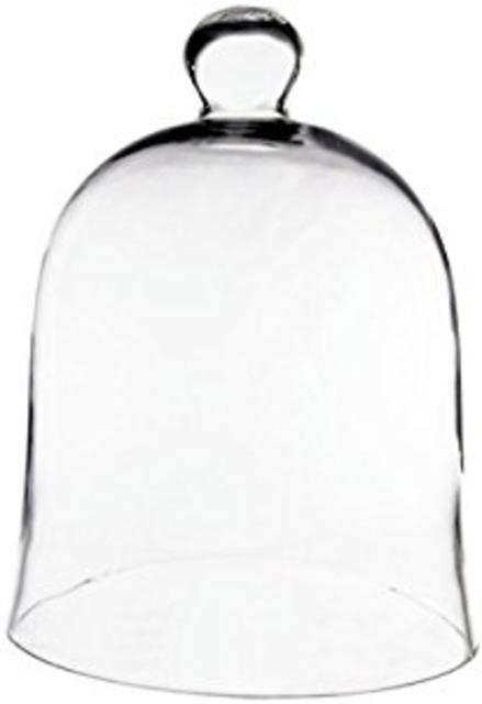 Glass Cloche Bell Jar, 16"