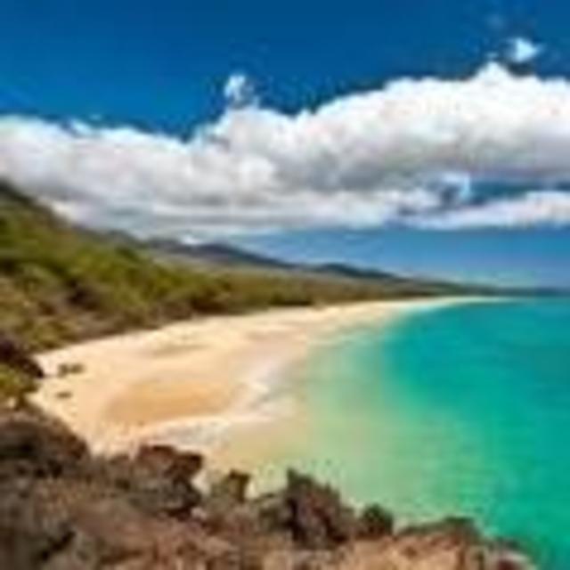 Maui Honeymoon Fund!