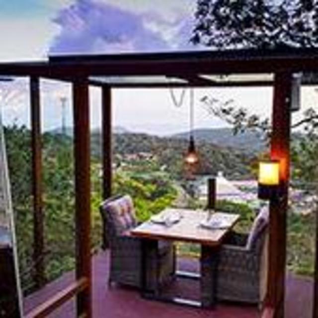 San Lucas Treetop Dining Experience