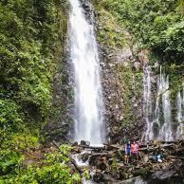 Jungle Waterfalls Tour