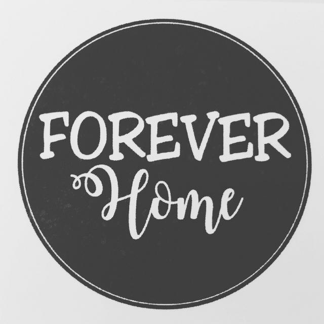 Our Forever Home Fund!
