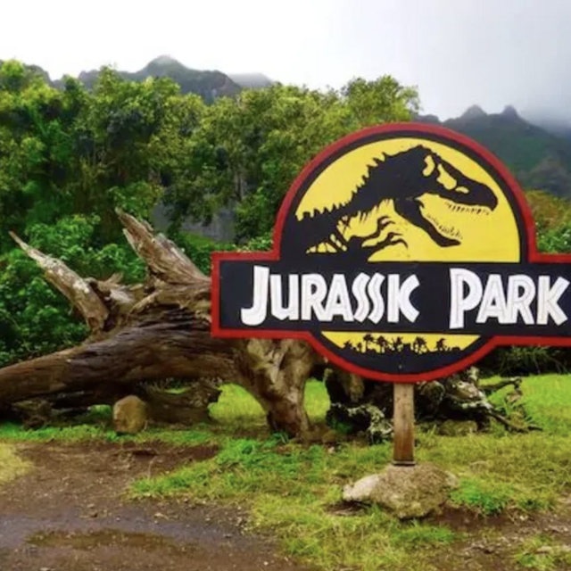 Send us to Kualoa Ranch!
