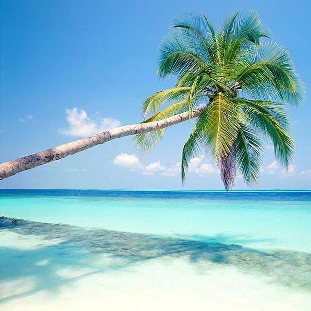 Honeymoon